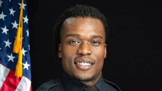 'THAT'S SOMEONE'S HOUSE': Protesters in Wis. clash with cop, toss rocks at homes after DA descision