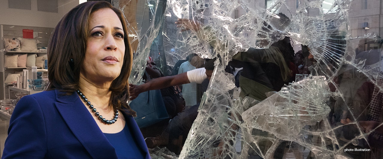 Kamala Harris slammed for sucking up to small businesses after bailing out agitators