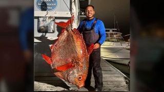 Anglers off Virginia coast reel in shocking catch