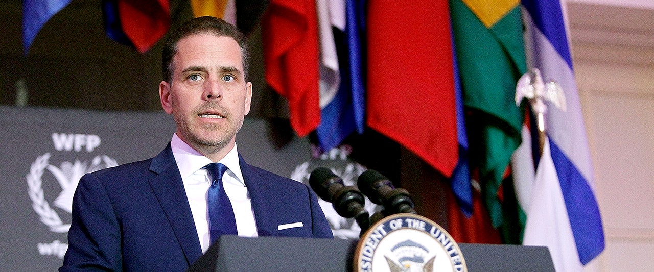 Report details Hunter Biden's links to 'potential financial criminal activity' as DOJ probe revealed's links to 'potential financial criminal activity' as DOJ probe revealed's links to 'potential financial criminal activity' as DOJ probe revealed's links to 'potential financial criminal activity' as DOJ probe revealed