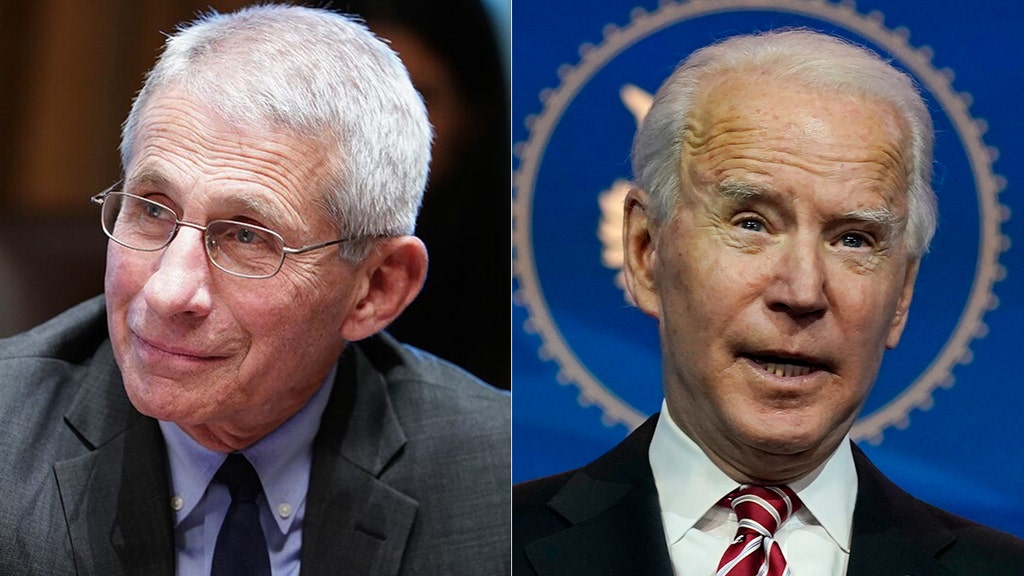 Fauci teases partial lockdowns like California under Biden admin