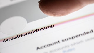 Gab gaining 10,000 users per hour, CEO claims, after Trump's permanent Twitter suspension