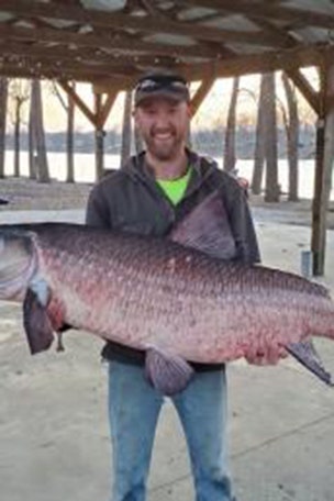 MASSIVE invasive fish reeled in