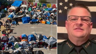 Biden's border crisis filtering 'into every community' and policies must be stopped: Florida sheriff