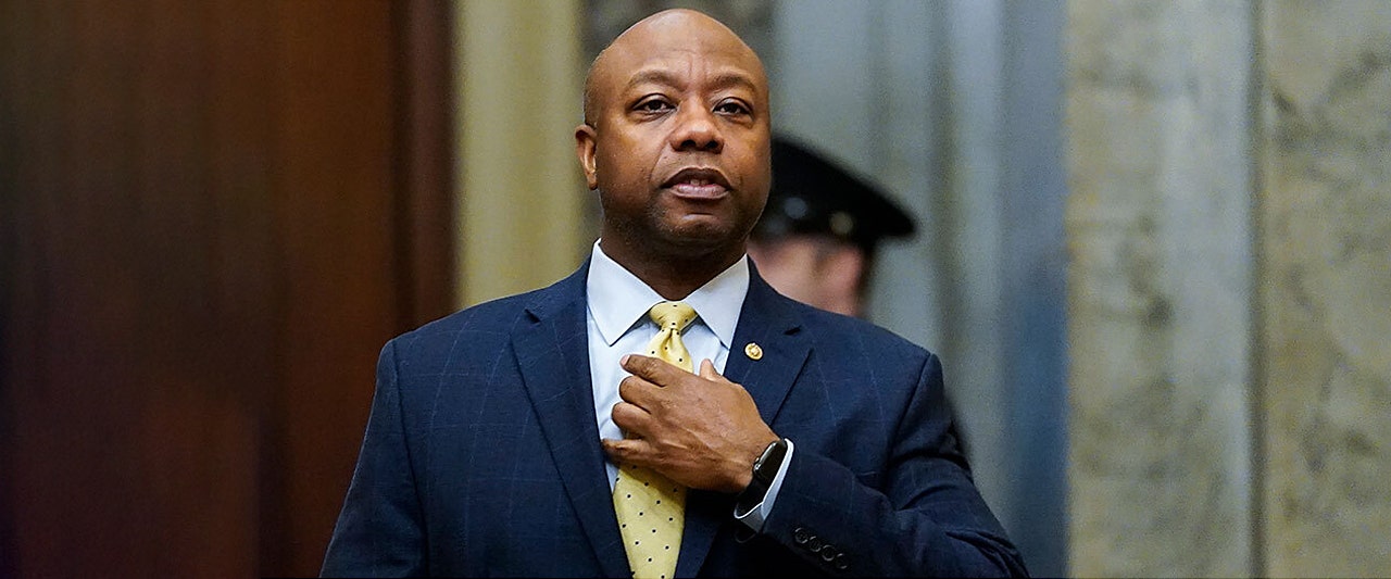 Tim Scott responds to 'stunning' assault from the left: 'They're literally attacking the color of my skin'