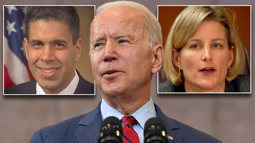 Trump-appointed judges throwing wrench in Biden's executive power grab