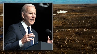 Biden suspends Alaska oil, gas leases in Arctic National Wildlife Refuge