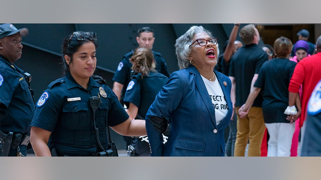 Dem congresswoman arrested, hands zip-tied after protest in Senate building