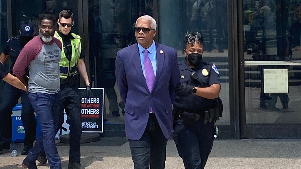 Another House Democrat arrested for blocking entrance to Senate building