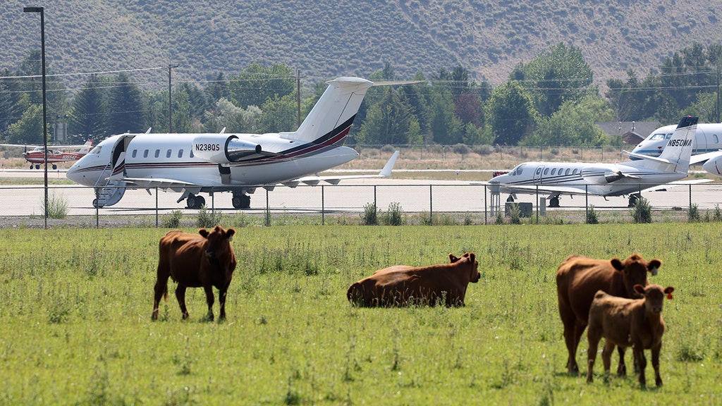 Billionaires in private jets preaching climate change force air traffic backup