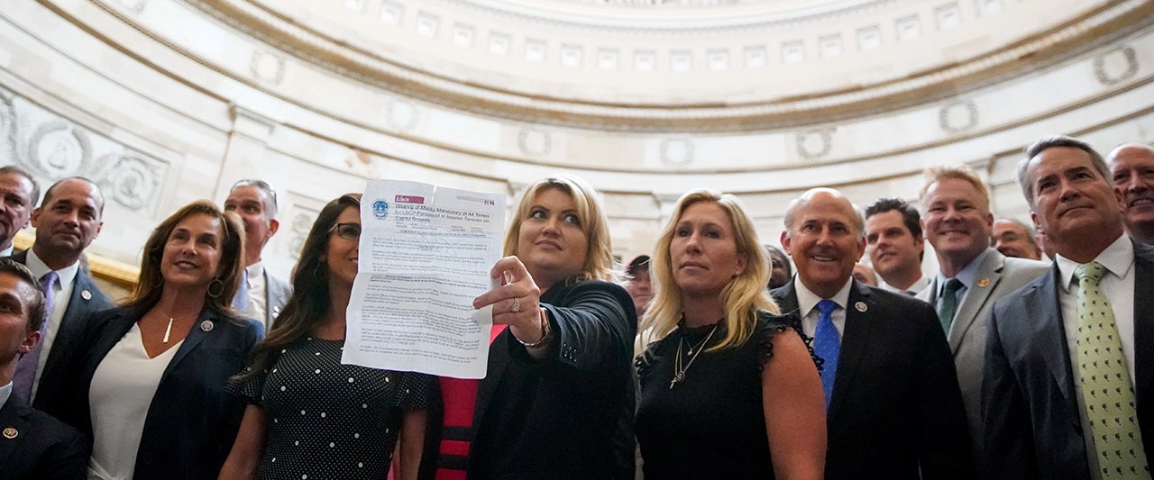 House Republicans stage protest of Pelosi’s COVID mandate after Speaker orders dissenters arrested