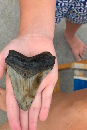 5-year-old finds ANCIENT tooth