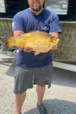 GOLDFISH sparks warning