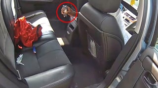 Police department hits back with its own footage after video claims to show officer 'planting evidence'