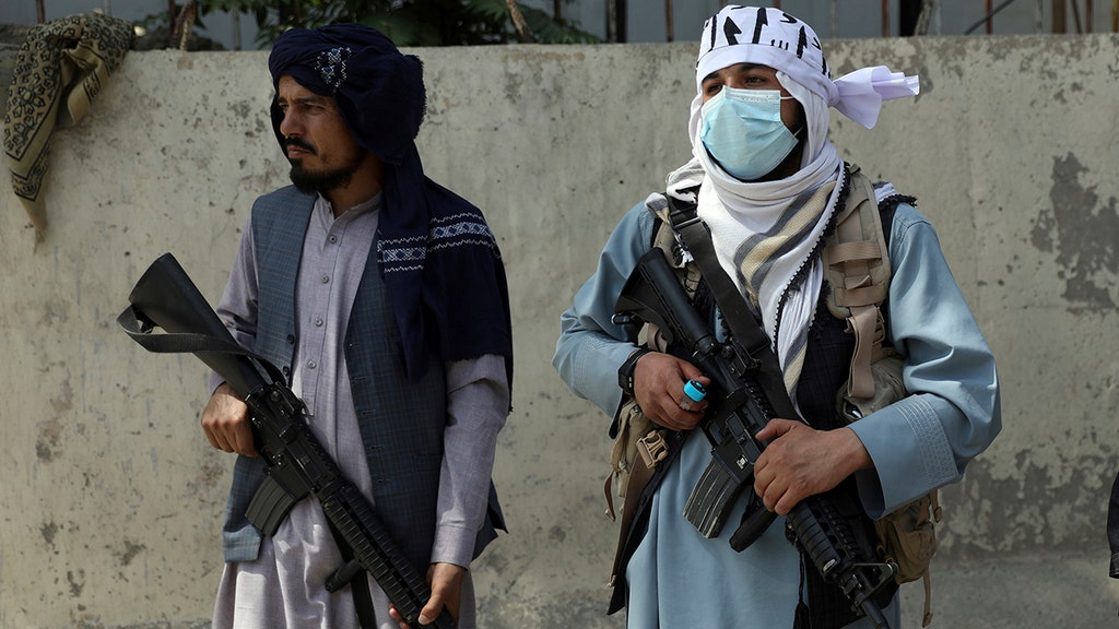 Pentagon doesn't have plan to keep US weapons out of Taliban hands