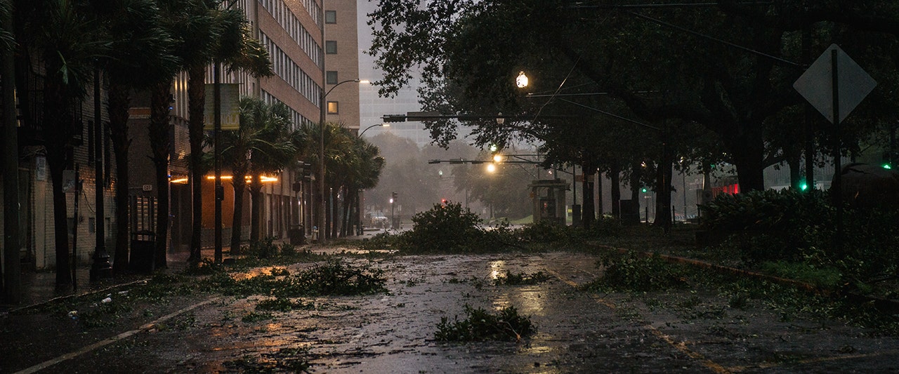 debris and tree limbs