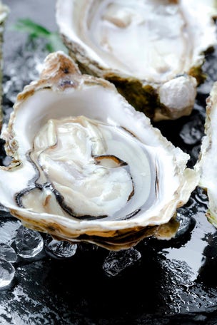 Oyster HEALTH facts to know