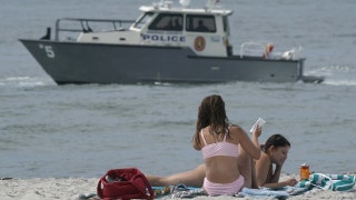 New York shark sightings prompt new flag warnings at beaches