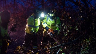 cutting trees