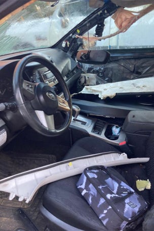 Bear DESTROYS car interior