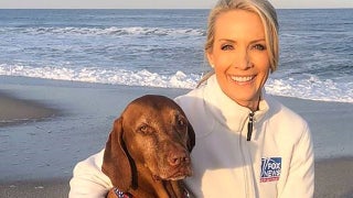 Dana Perino makes heartbreaking announcement about 'America's Dog,' Jasper