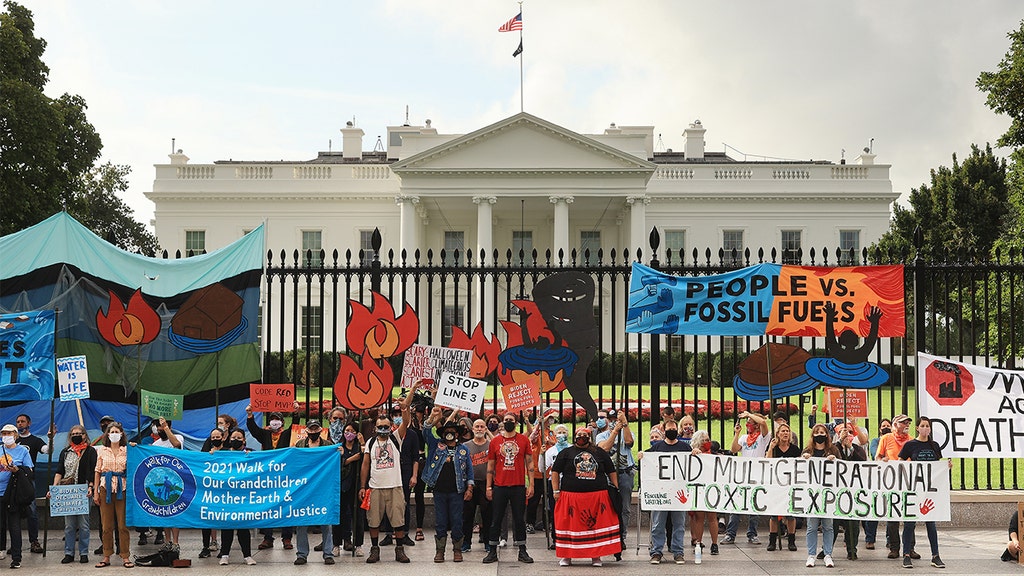 white house far view