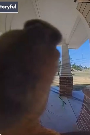 SEE IT: Squirrel rings doorbell