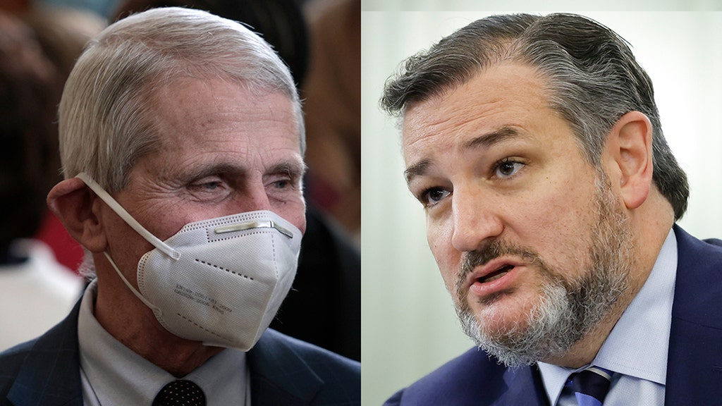 Cruz blasts top doc over explanation of hospitalized children