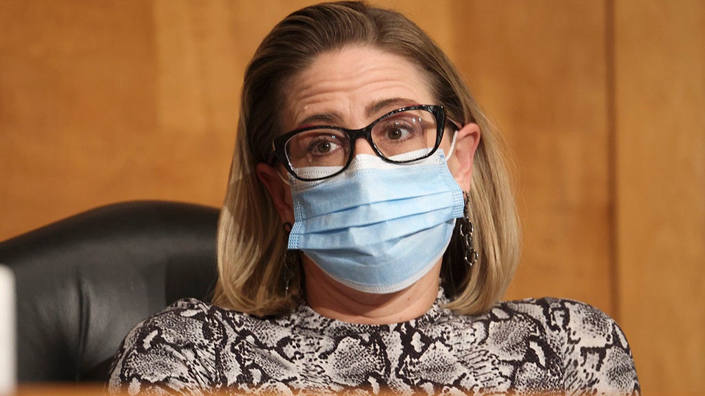 Liberals lash out at fellow Democrat as she refuses to go along with Senate ploy