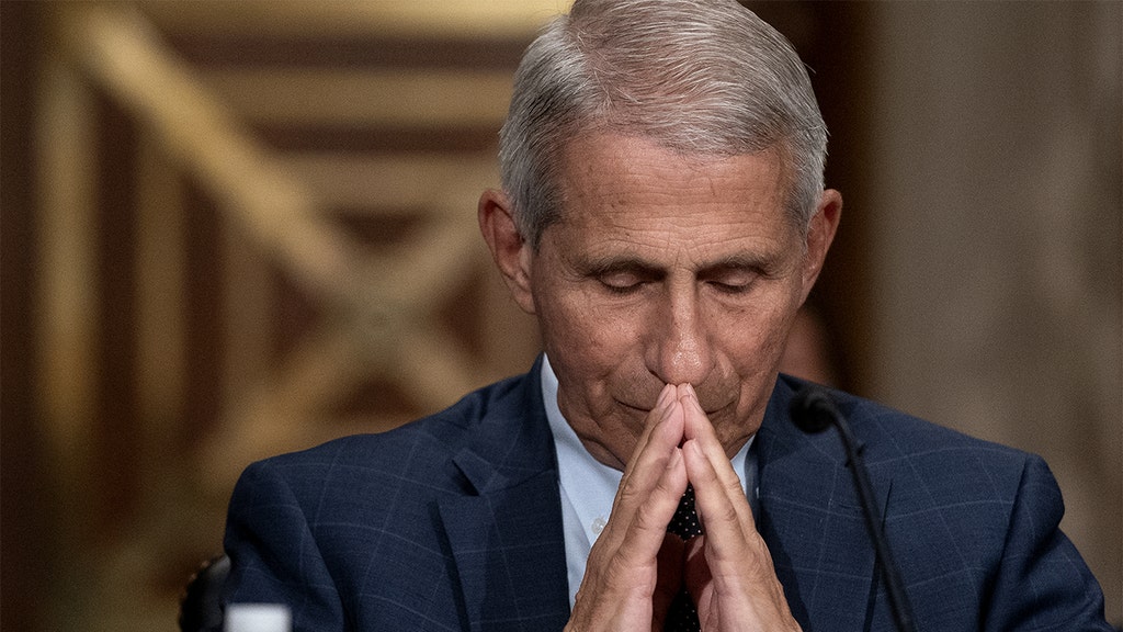Top doc just poured cold water on Biden's pledge to 'shut down' COVID