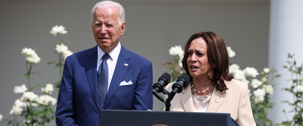Gabbard says Harris VP pick was a 'disaster' — and Biden is making the same mistake with SCOTUS