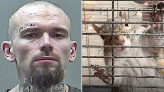 Man accused of feeding meth to an attack squirrel reportedly hit with even more charges
