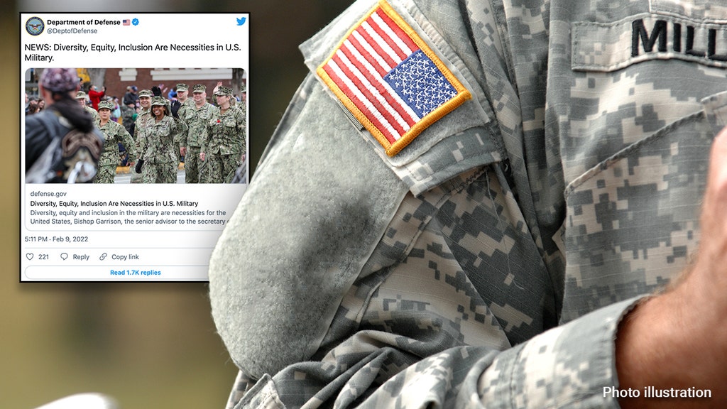 US military mocked for saying 'diversity, equity, and inclusion' are 'necessities'