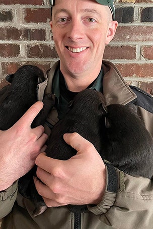 Homeowner finds BEAR den, cubs