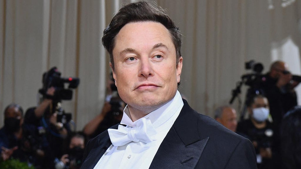 Elon fires back at media's 'inaccurate, slanderous' reporting with viral meme