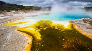 Yellowstone - 4