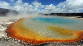 Yellowstone 1