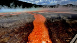 Yellowstone - 3