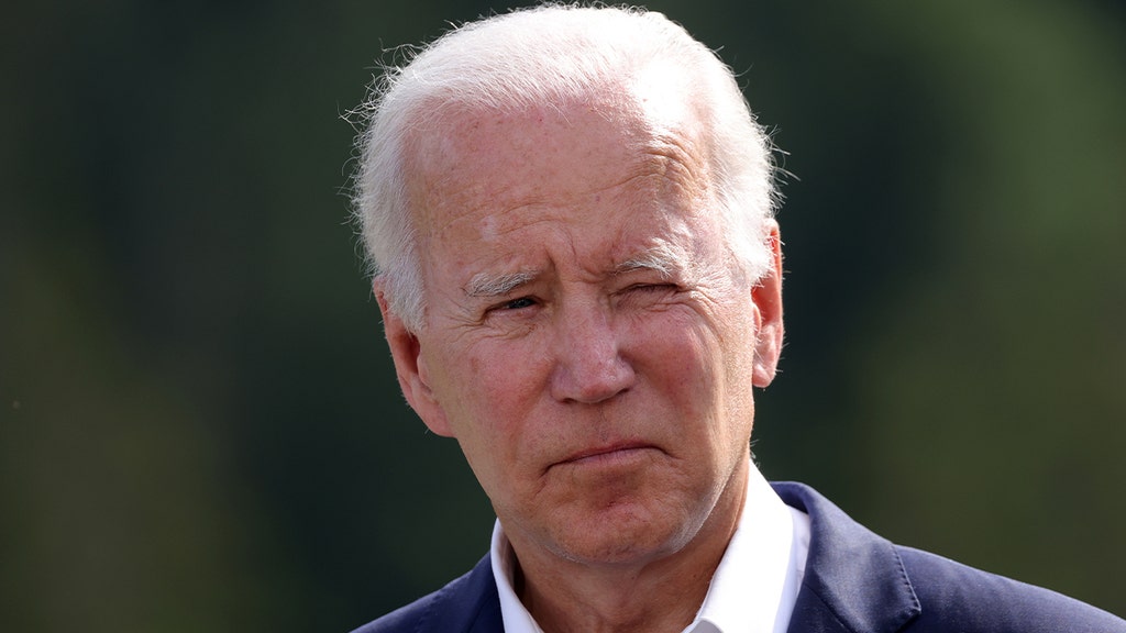 Biden left in the cold after pick to head immigration enforcement withdraws