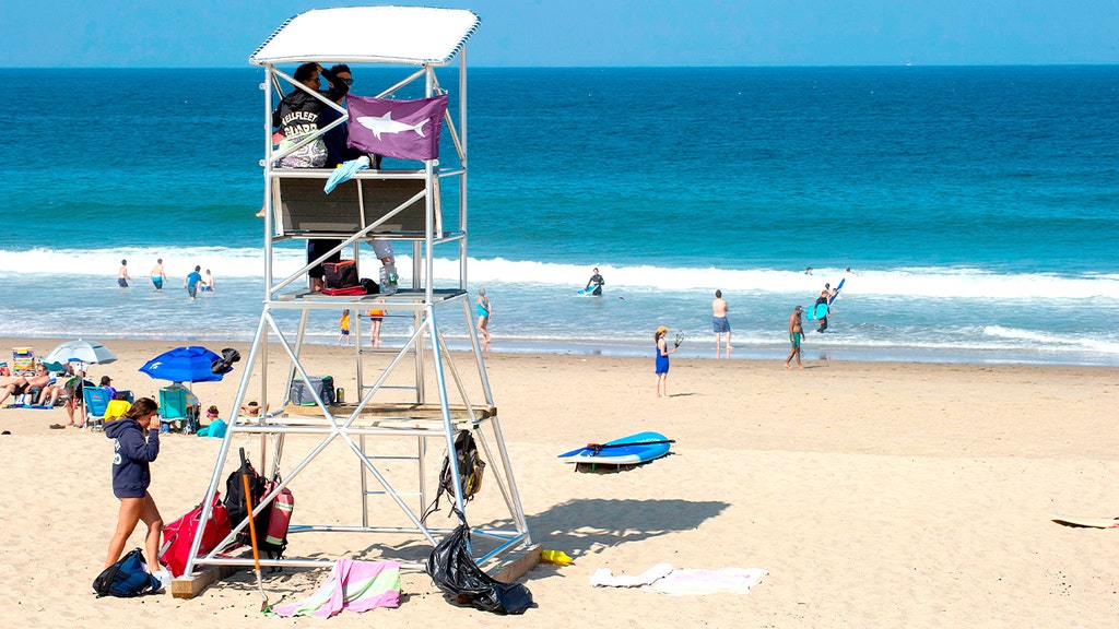 Popular beach destination gets shark warning ahead of 4th of July weekend