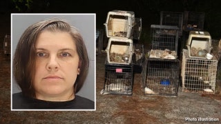 Police discover 30 dead animals in home of animal rescue CEO