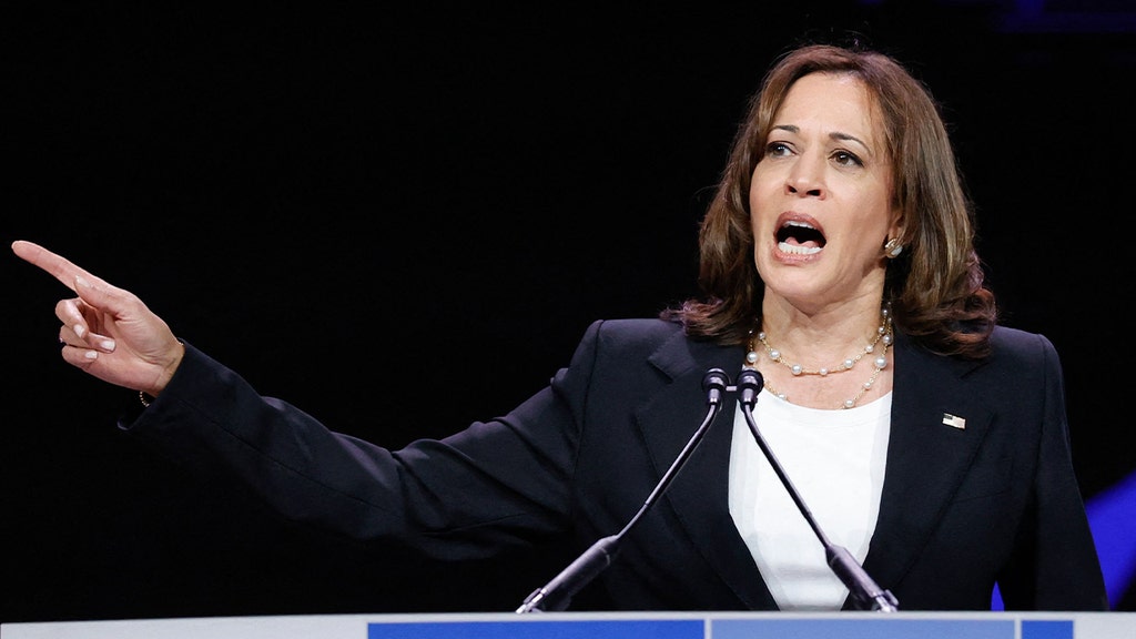 VP Harris calls for ban on certain guns 'intentionally designed to kill'