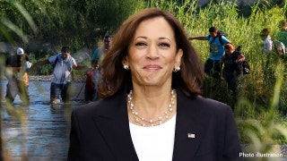 Kamala Harris declares ‘border is secure’ as thousands of illegals flood into US every day