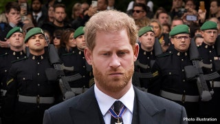 Prince Harry was 'very well protected' during Queen Elizabeth's funeral amid security concerns: royal expert
