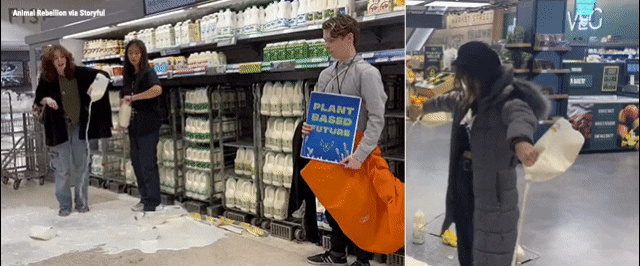 New teen environmentalist trend causing a big headache for grocery stores