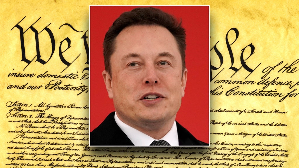 Elon Musk weighs in after Trump pushes to terminate parts of the Constitution