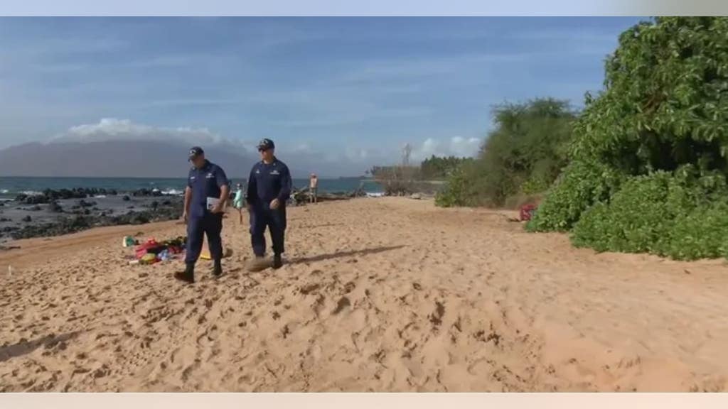 Officials reveal what likely happened to missing snorkeler