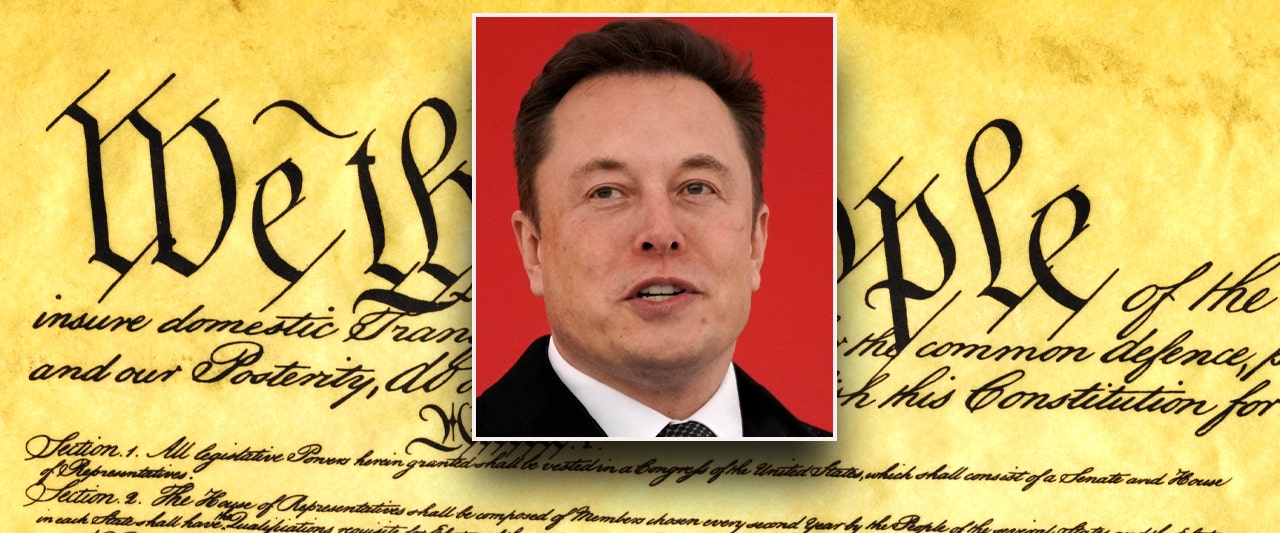Elon Musk weighs in after Trump pushes to terminate parts of the Constitution