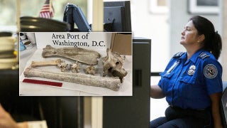 Airport security officials make disturbing discovery in woman's bag