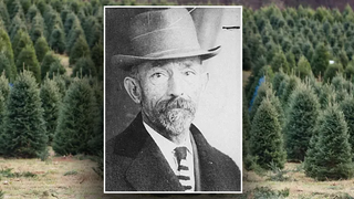 Meet the American who sowed the seeds of the first American Christmas tree farm